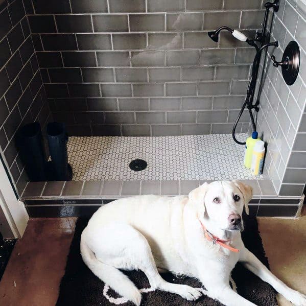 Cool Home Dog Wash Station