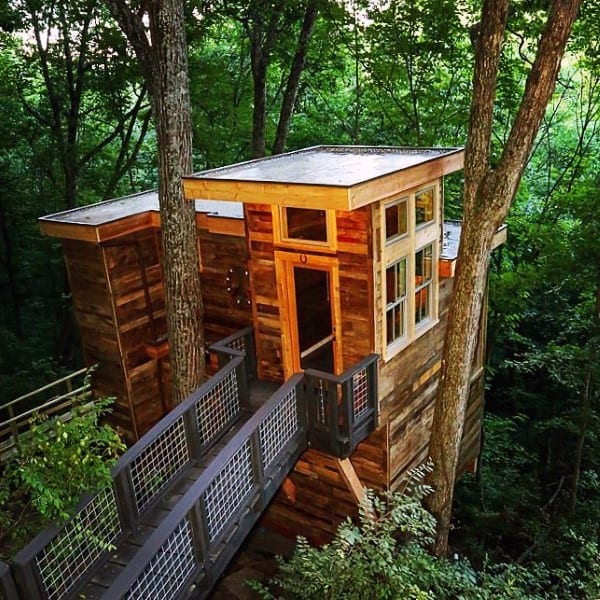 Wooden treehouse with large windows nestled among green forest trees