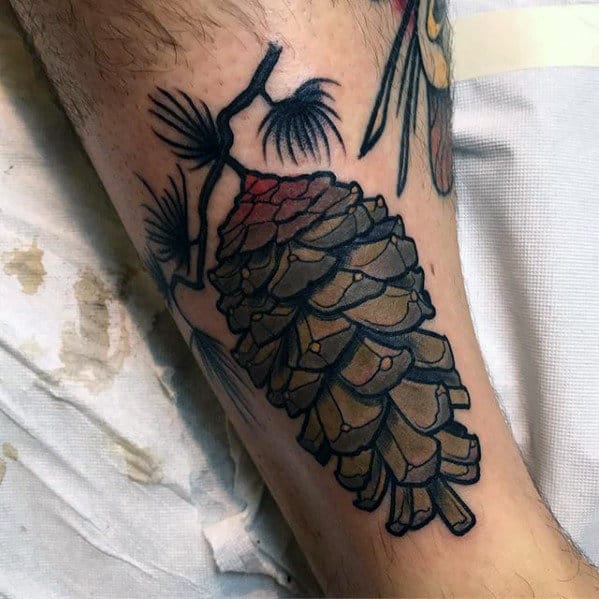 Cool Neo Traditional Pine Cone Male Tattoos