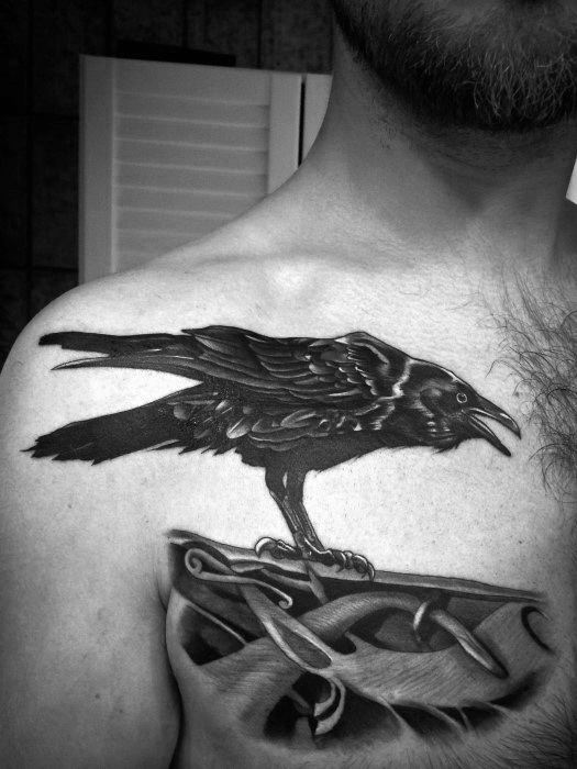 Realistic black raven tattoo perched on a Viking-style knotwork design, placed on the upper chest and shoulder.