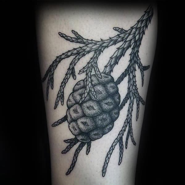 Cool Pine Cone Male Arm Tattoo Design Ideas