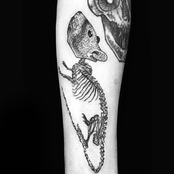 Cool Rat Skeleton And Bones Tattoos For Men On Inenr Forearm