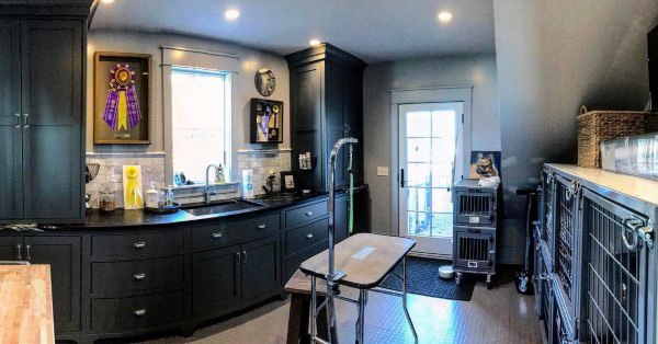 dog showroom with cages and storage 