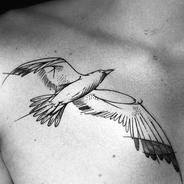 Cool Sketched Seagull Male Upper Chest Tattoo Design Ideas
