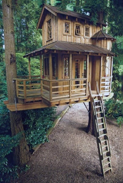 A rustic wooden treehouse with a ladder, nestled among tall trees and surrounded by nature