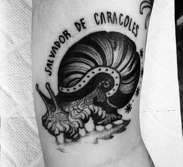 Cool Snail Tattoo Design Ideas For Males On Arm