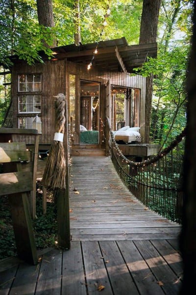 Wooden treehouse with a rope bridge surrounded by lush green trees, cozy interior visible through glass doors