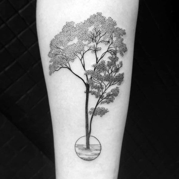 Elegant black and grey dotwork tattoo of a tall tree with delicate foliage, rooted in a small circular landscape, symbolizing growth and harmony.