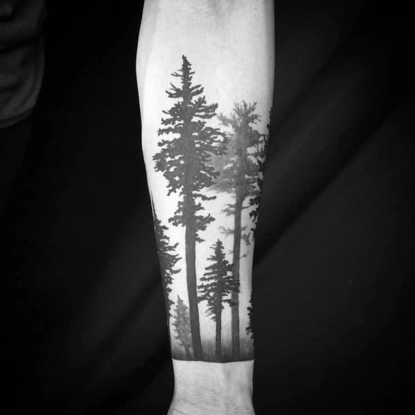 Black and grey forearm tattoo of tall pine trees in a misty forest, creating a serene and atmospheric nature-inspired design.