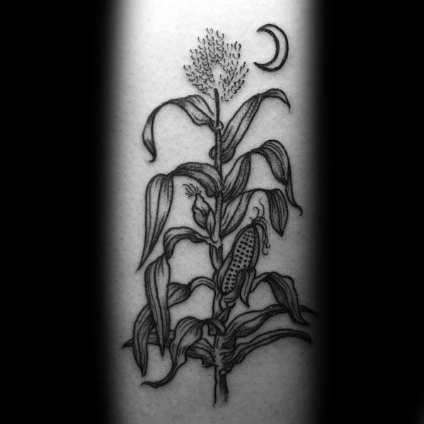 Black and gray tattoo of a detailed corn stalk with leaves, kernels, and a crescent moon, creating a natural and elegant design.