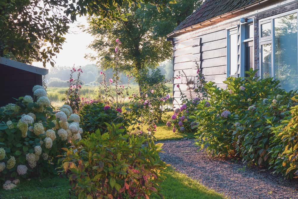 cottage-style garden with gravel path