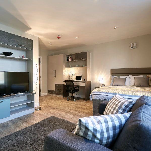 Spacious studio with cozy bed, gray sofa, TV unit, and a functional desk workspace.