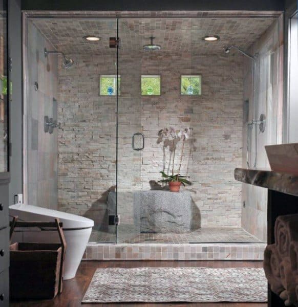 Modern bathroom with a sleek shower, stone tiles, and a potted plant; a bathtub is visible on the left