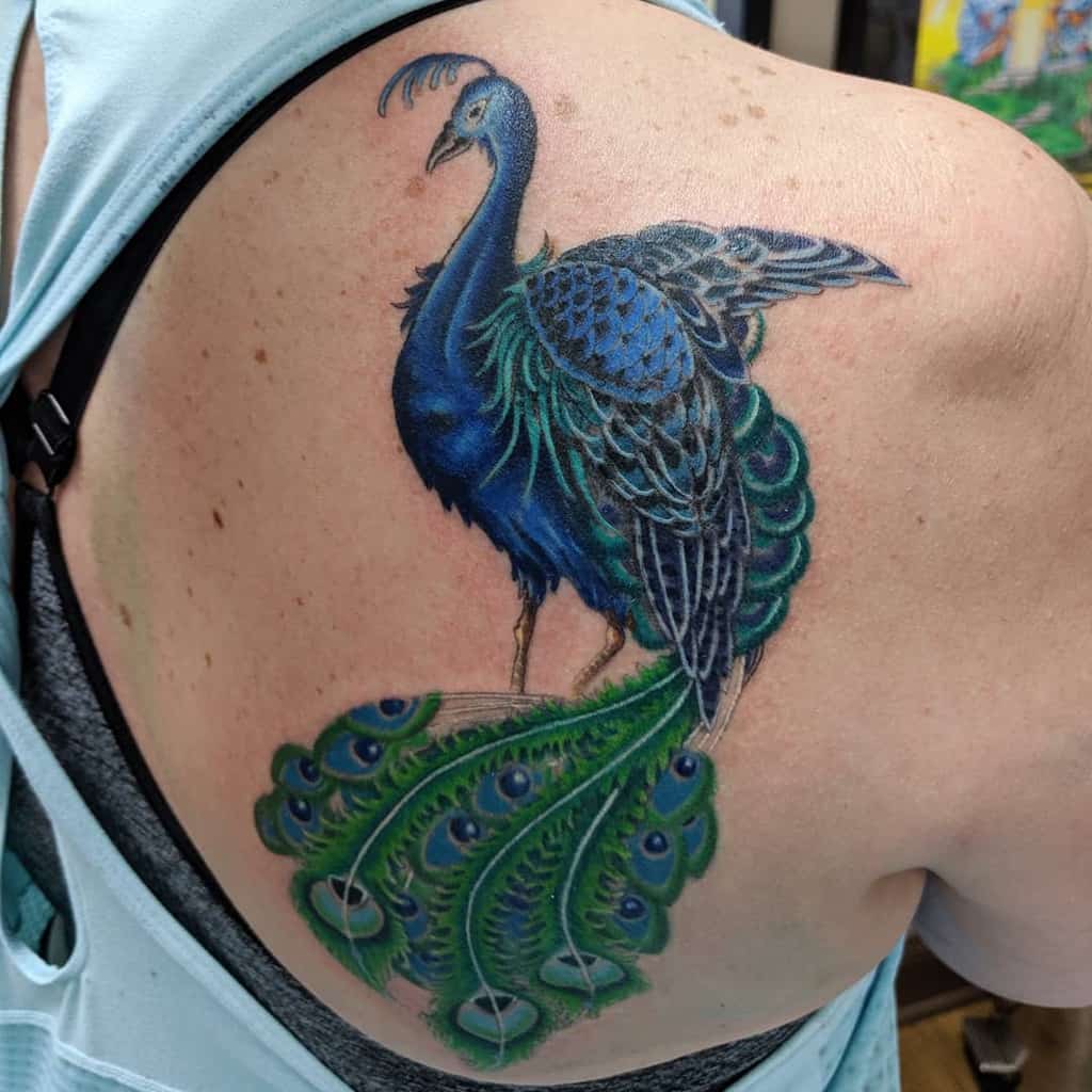 Colorful peacock tattoo on the upper back with intricate blue and green feathers and a vibrant tail.