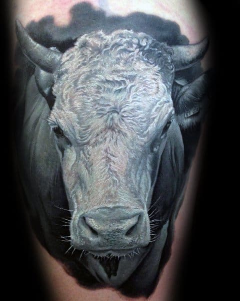 Hyper-realistic bull head tattoo with detailed fur texture and strong shading, creating a bold 3D effect on the skin.