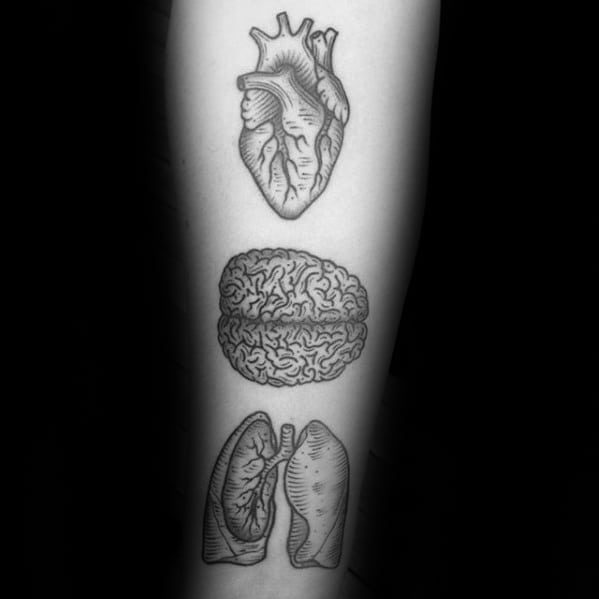 Creative Anatomical Lung Brain And Heart Inner Forearm Tattoos For Men