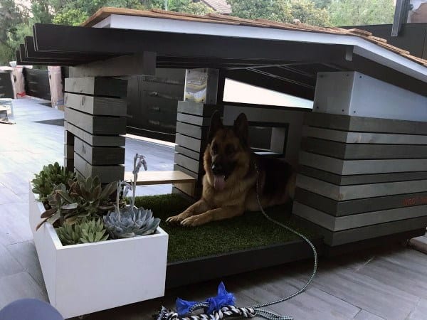 Creative dog house with a slanted roof and wooden slats, featuring a grassy area inside, a German shepherd resting, and potted plants nearby