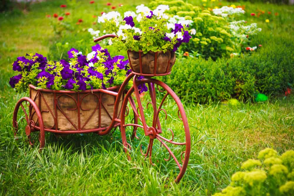 creative flower garden ideas tricycle purple flowers