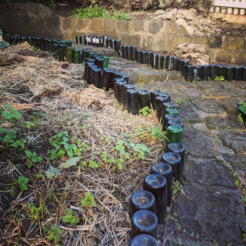 creative bottle garden edging stone pavers