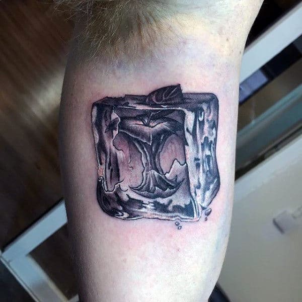 Creative Ice Cub 3d Apple Core Mens Inner Arm Tattoos