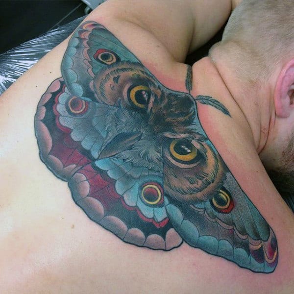 Creative Moth With Owl Eyes Mens Back Tattoo