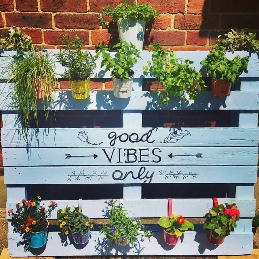 blue vertical pallet garden with pot plants 