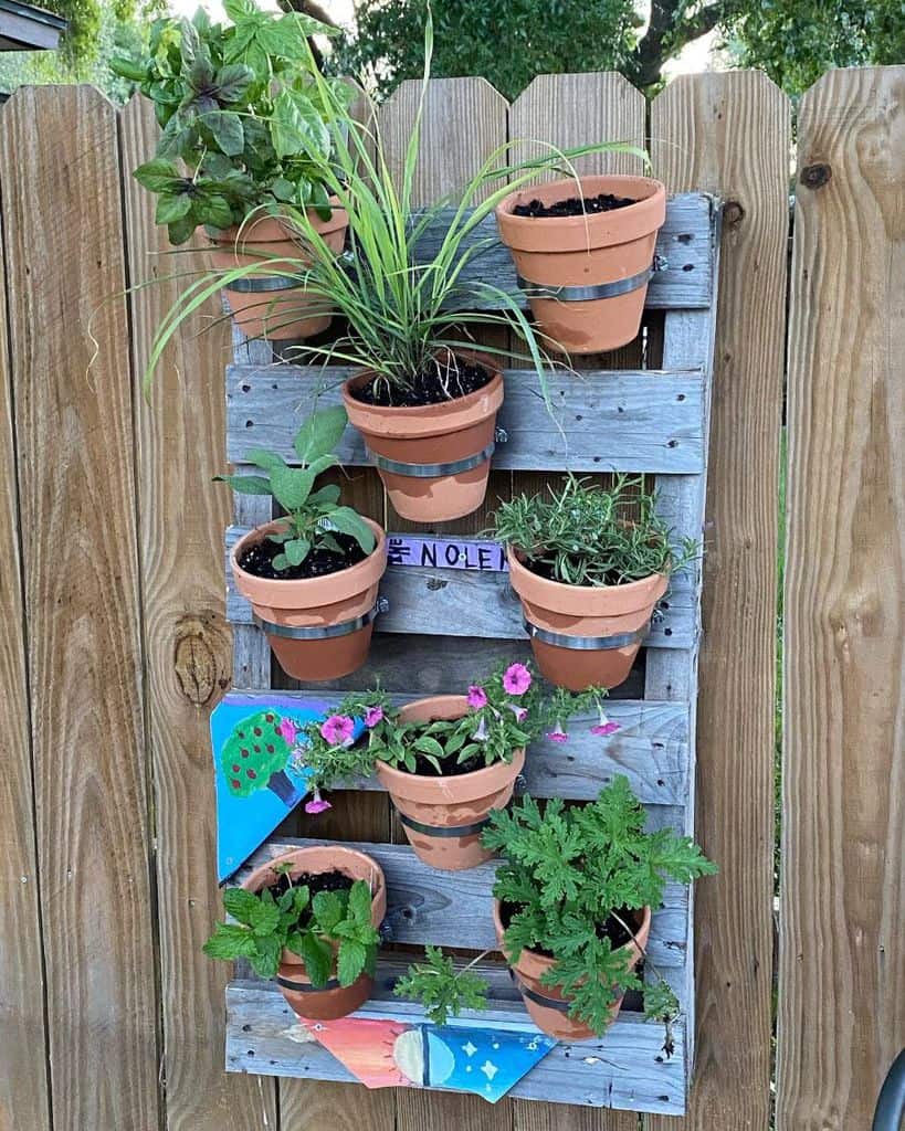 pot plant vertical pallet garden 