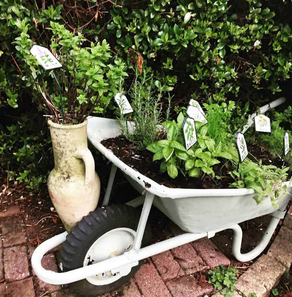 creative wheelbarrow planter herb garden