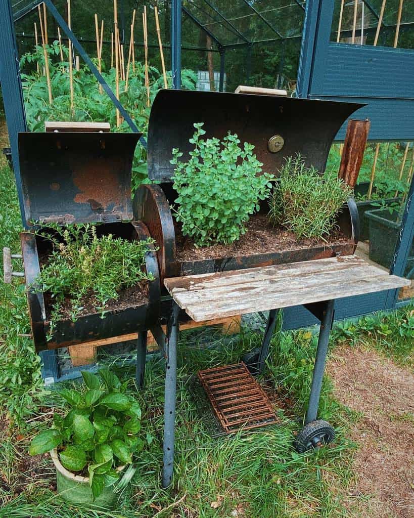 old bbq used as herb garden