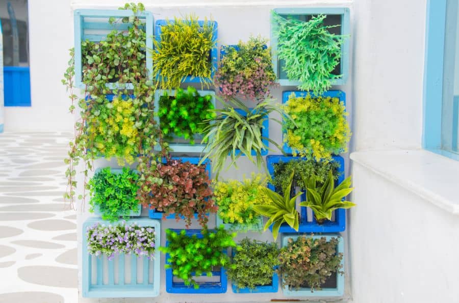 creative blue box vertical wall garden