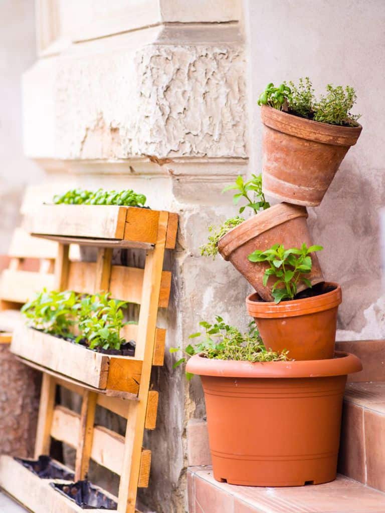 creative vertical pallet garden