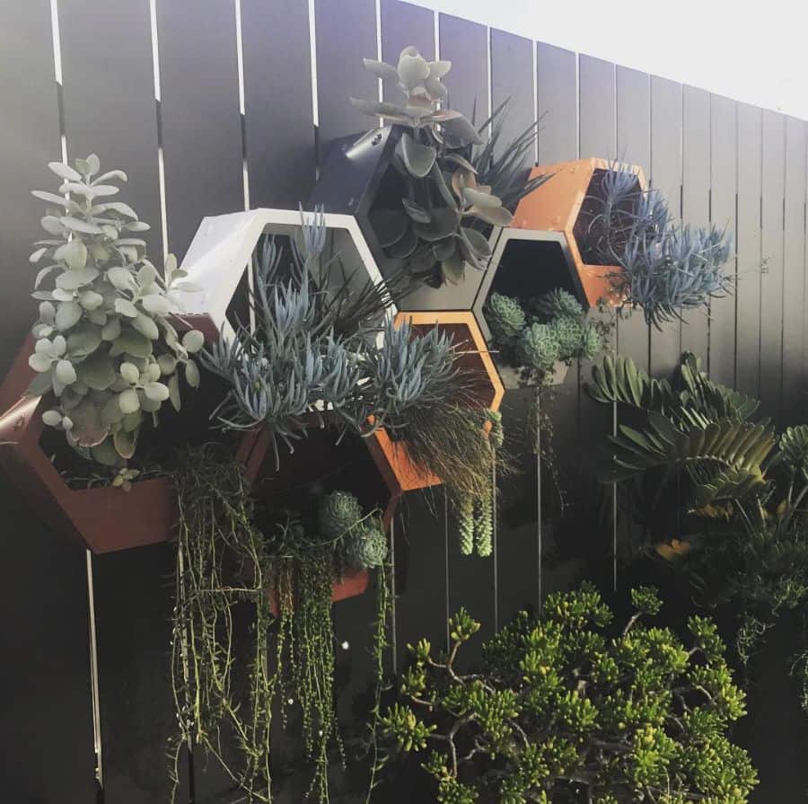creative hexagon pot plant vertical garden on fence