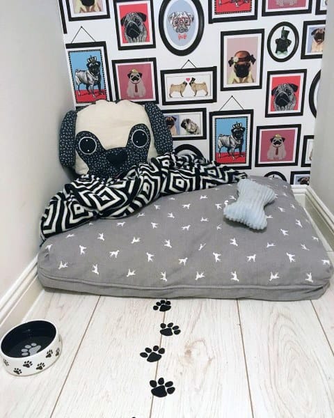 small dog nook dog wallpaper cushions toys water bowl