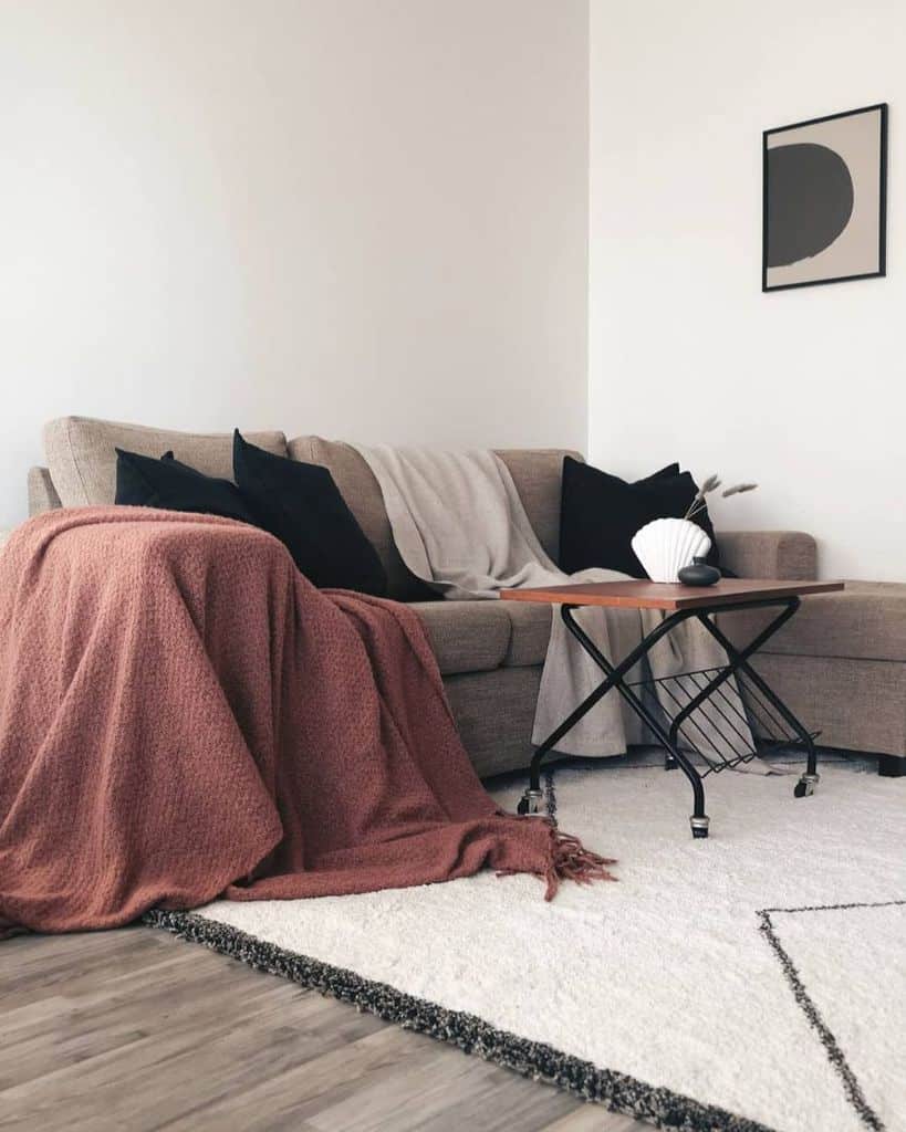 Beige sofa with black pillows, rust-colored throw, small coffee table, and minimalist wall art.