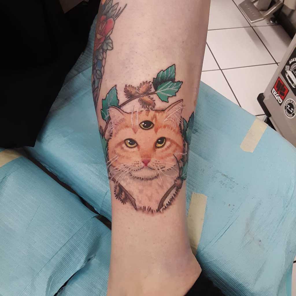 Cute Cat Third Eye And Cockle Burs