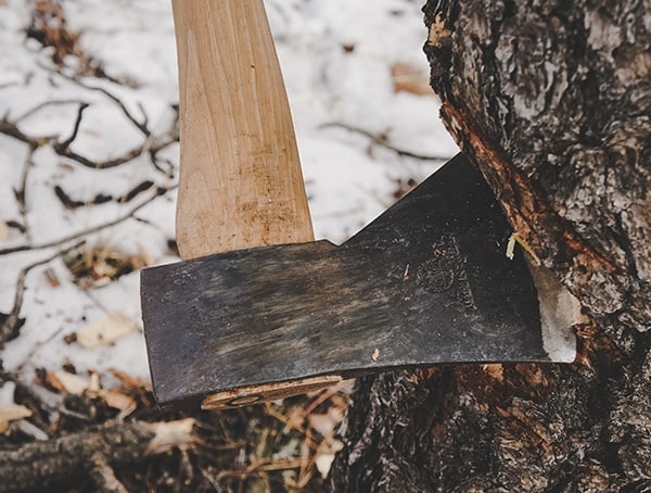 Cutting Into Tree Hults Bruk American Felling Axe Reviews