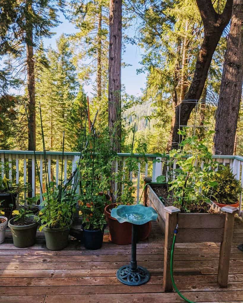 A wooden deck with potted plants, a raised garden bed, and a bird bath, surrounded by tall trees and a forest view