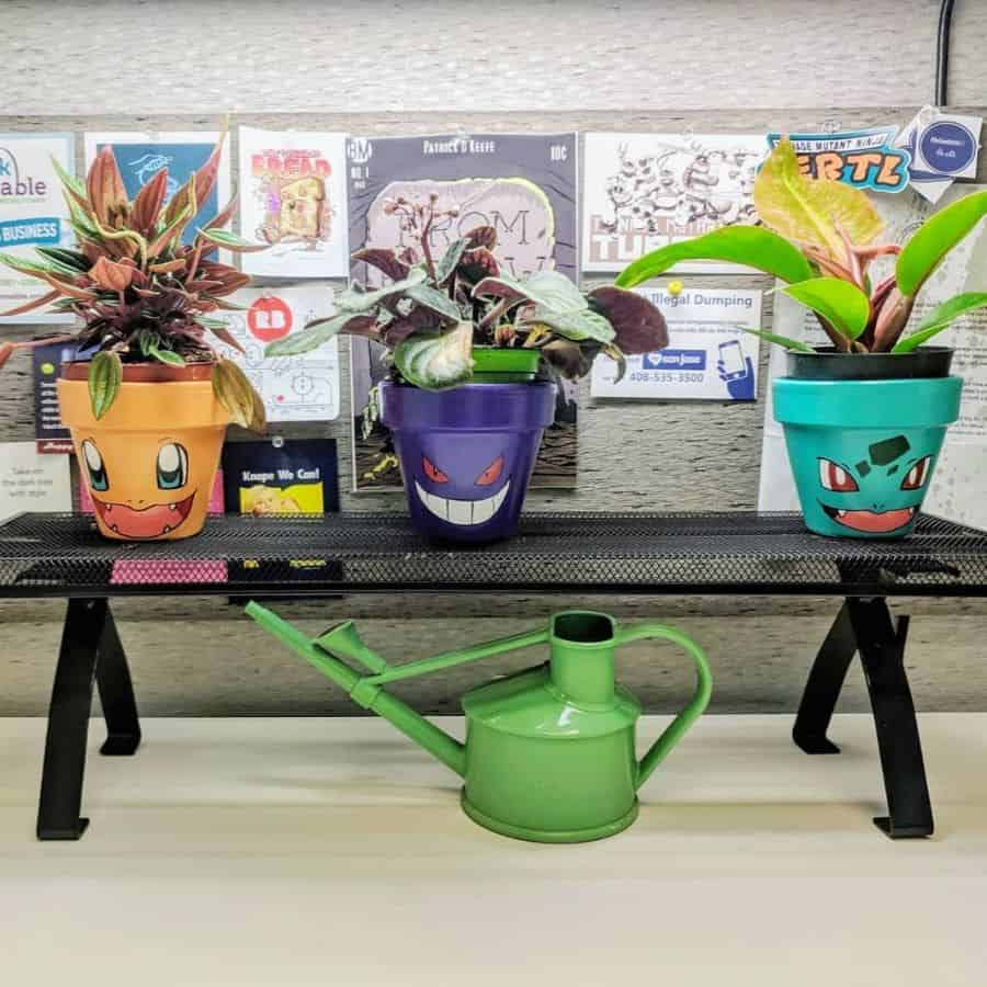 colorful pot plant office decor 