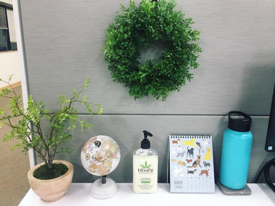 plant wreath pot plant office cubicle 
