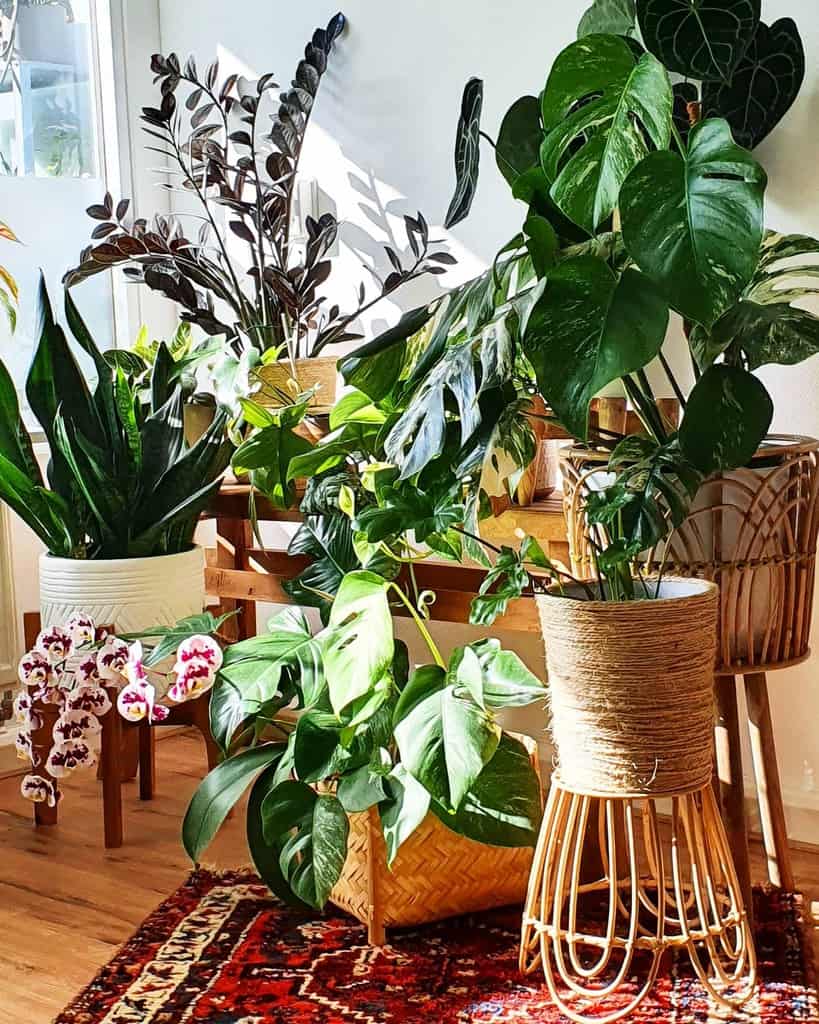 decor indoor garden ideas 