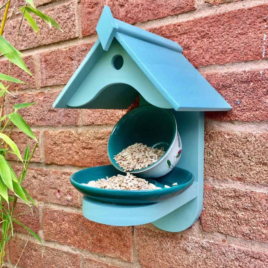 blue bird feed on brick wall