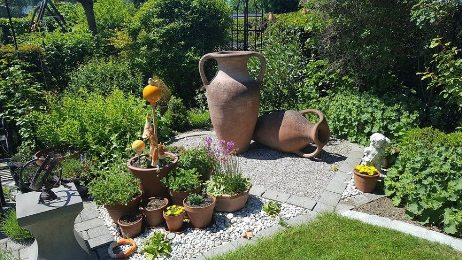 terracotta vases and pot plants backyard