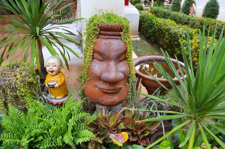 terracotta face statue small child statue ferns