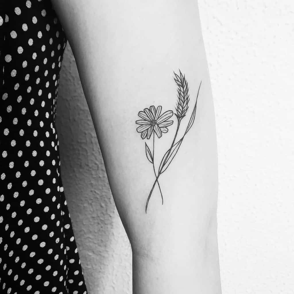Bicep tattoo black and grey fine line delicate daisy and wheat