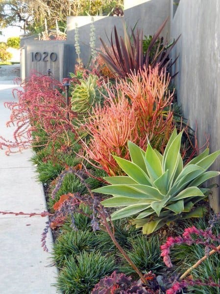coloful plants side garden concrete retaining wall