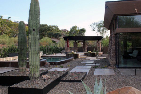 gravel backyard large cactus plants pool 