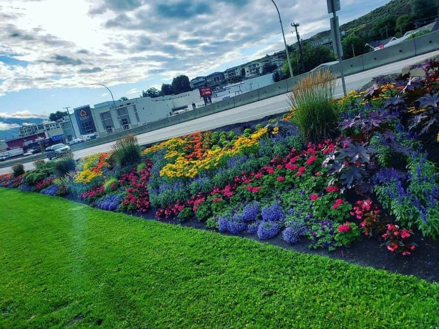 large garden bed colorful flowers