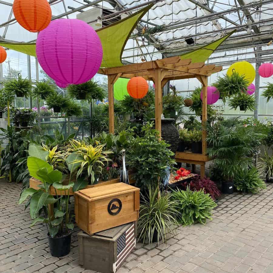 large greenhouse colorful circle shades plants
