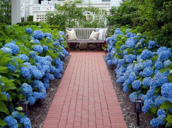 Brick walkway bordered by vibrant blue hydrangeas, leading to a cozy bench surrounded by lush greenery and soft lighting