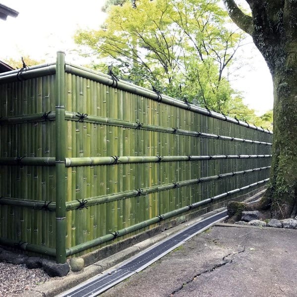 Green bamboo fence with horizontal bamboo framing in an impressive natural landscape.